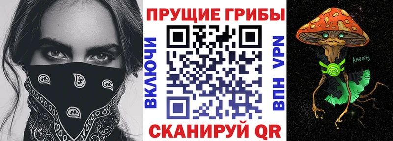 Псилоцибиновые грибы ЛСД  Старый Крым 